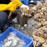 下了珠海高铁直奔这家！男朋友都说好猛