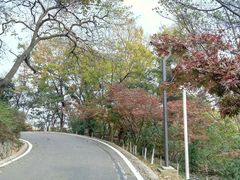 -南京市江宁方山