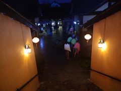 -崇阳三特浪口温泉