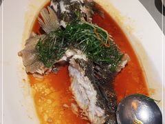 -维园悦谱·海派家常菜(乌鲁木齐南路店)