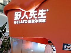 -野人先生现做冰淇淋(北京王府井东方新天地店)