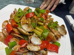 芒果螺-琼菜王(南海店)