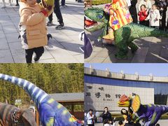 -中国西峡恐龙遗迹园