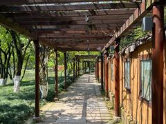 -八卦田遗址公园