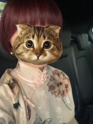 -缘杨裁缝西服定制店·旗袍·礼服