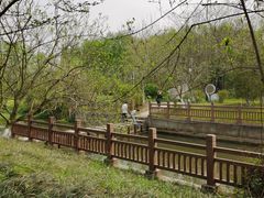 -桤木河湿地公园