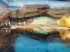 -海合安武汉极地海洋公园