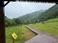 -大水川景区