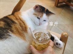-黑胶星球(华发中城商都店)