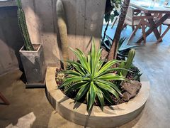 -漾花汐·西餐·下午茶(苏州湾歌林公园店)