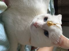 自由人影城-自由人影城(大庆唐人中心店)