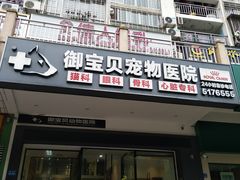-御宝贝24h宠物医院·转诊中心·CT核磁血透中心(厦门总院)