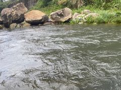 -志闽龙门漂流