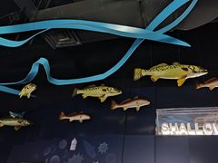 -同济大学四平路校区深海探索馆