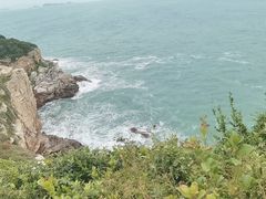 -杨梅坑