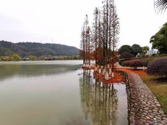 -明月山天沐温泉度假村