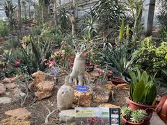 -国家植物园南园