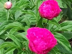 -长春公园(普阳街道)