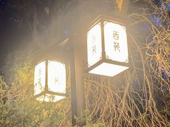 -西苑公园