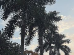 -广州市白云山风景名胜区
