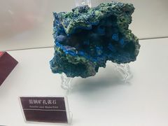 -甘肃地质博物馆