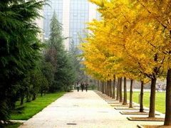 -陕西师范大学(雁塔校区)