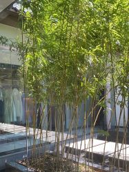 -爱儿美儿童摄影(朝阳公园店)