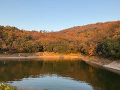 -紫金山山顶公园