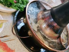 -阳坊胜利涮羊肉(禧乐汇店)