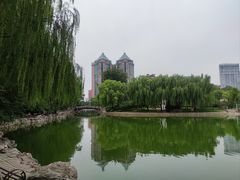 -团结湖公园