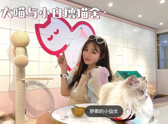 软萌撸猫馆、可可爱爱的一天
