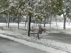 -通略驾校(新村路店)