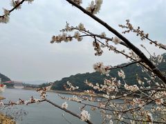 -广州市流溪河国家森林公园