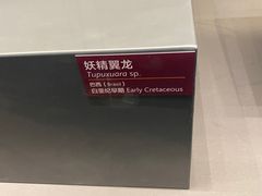 -贝林大翅鲸简餐厅(国家海洋博物馆店)