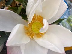 -3W咖啡(国家软件园店)