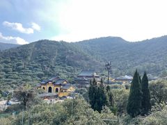 -树山生态村