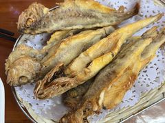-楊老黑卤煮·京味菜