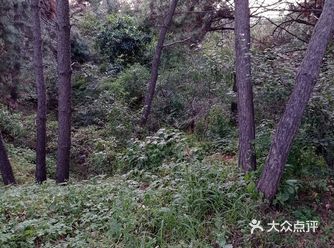走进森林氧吧，呼吸大自然的芬芳； 放空一切烦恼