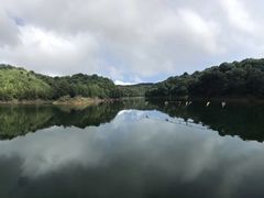 -千岛湖城中湖游船码头