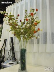 IMG_2866-DRG达人馆造型