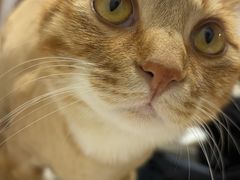 -肥朵食堂(带梦胡同店)