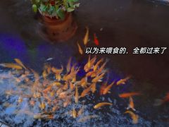 -北国之春国宴(乌兰察布店)