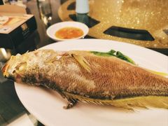 黄花鱼-吴记富苑(朝阳店)