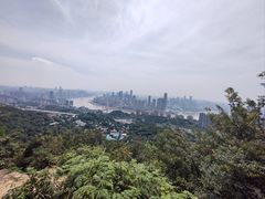 -南山植物园