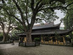 -阿育王寺