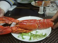 -339旋转餐厅(天府熊猫塔店)