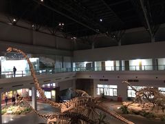 -自贡恐龙博物馆