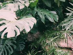 -济南植物园