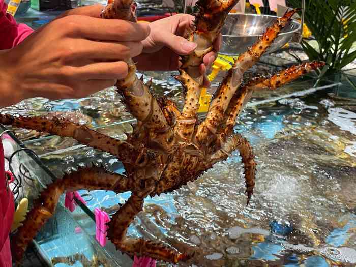 这家新开的79号渔船间隔去了两次,菜品发挥很稳定,特别是还靠近宝安的