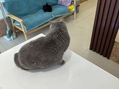 -美联众合24小时·皮肤科·外科·全科诊疗中心(华苑分院)